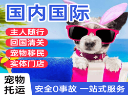 抚远东极国际宠物托运 【国